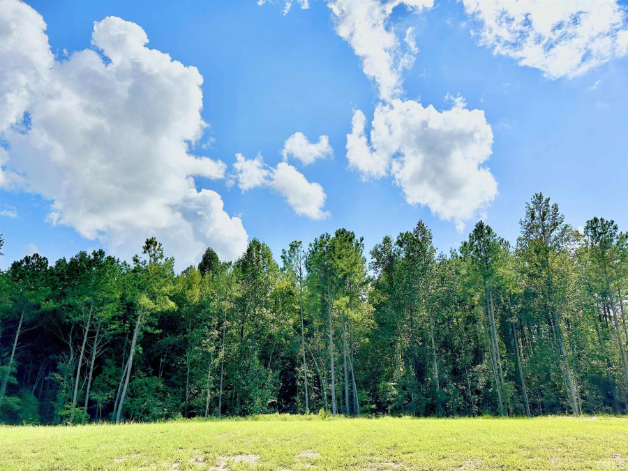 1753 Birdhaven Ln Wendell, NC 27591