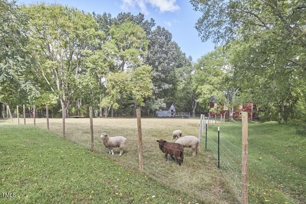 3679 Oak Lawn Farm Rd Oxford, NC 27565