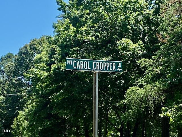 91 Carol Cropper Ln Roxboro, NC 27574