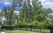 417 Hopwood Way Apex, NC 27523