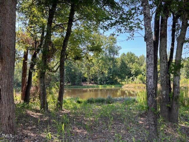 30 Barham Mill Pond Ln Wendell, NC 27591