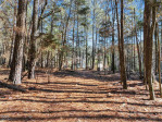 7815 Dodsons Crossroads Hillsborough, NC 27278