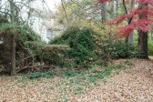 1903 Trexler Ct Raleigh, NC 27606