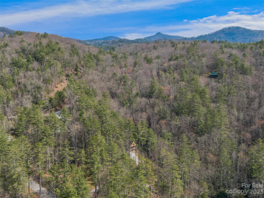 3709 Whiteside Cv Cashiers, NC 28741