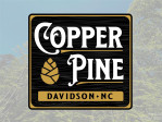 155 Copper Pine Ln Davidson, NC 28036