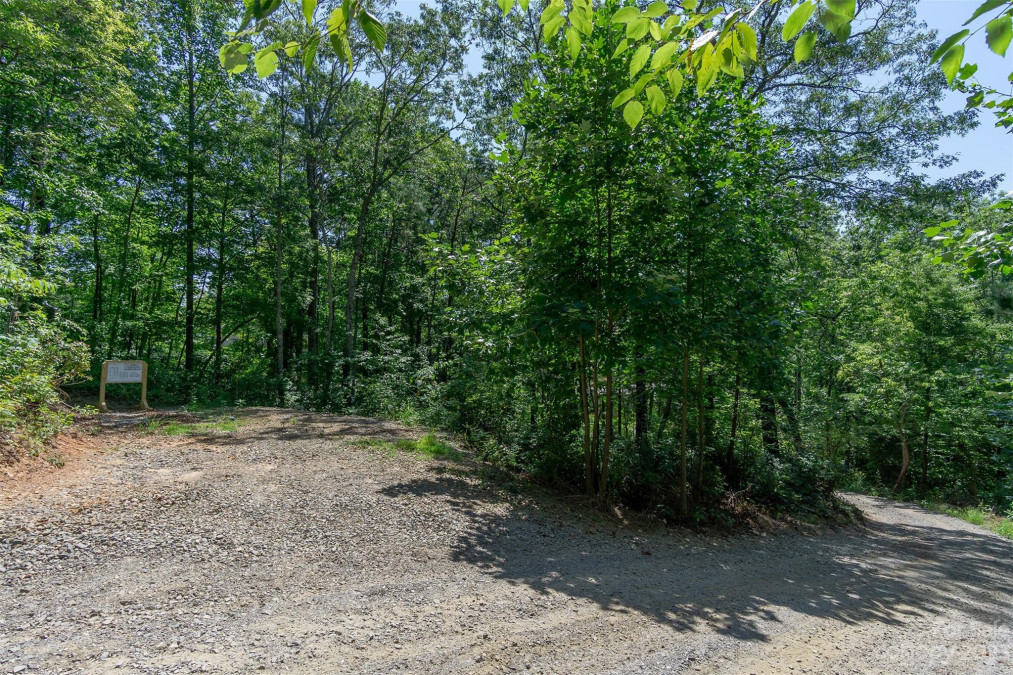 105 Bartram Way Black Mountain, NC 28711