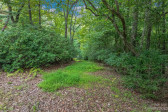 Lot 88 Running Deer Trl Horse Shoe, NC 28742