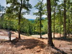 LOT 1 Ridgeland Way Mill Spring, NC 28756