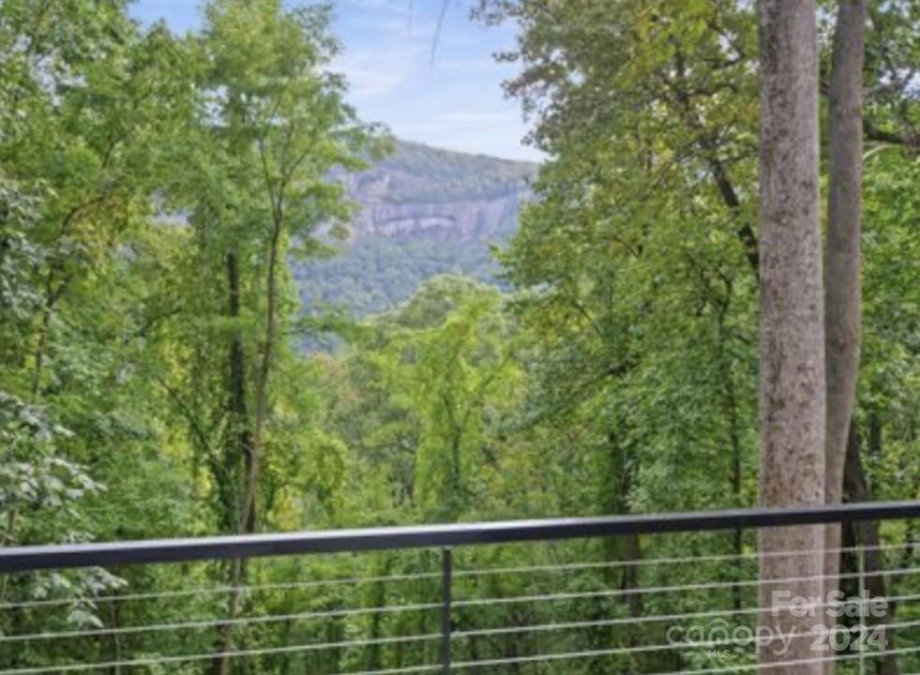 384 Cascada Vista Dr Chimney Rock, NC 28720