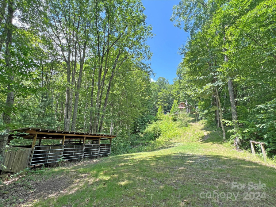 10120 Meadow Fork Rd Hot Springs, NC 28743