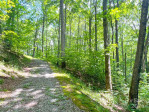 10120 Meadow Fork Rd Hot Springs, NC 28743