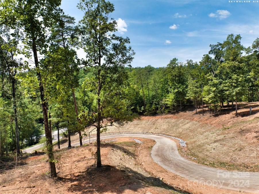 LOT 5 Ridgeland Way Mill Spring, NC 28756