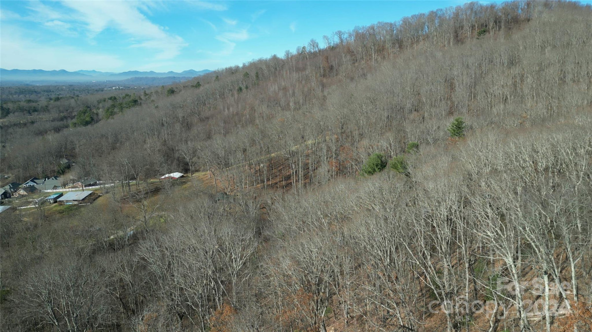 20 Red Berry Trl Swannanoa, NC 28778