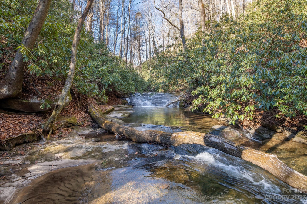 35 Lower Sand Branch Rd Black Mountain, NC 28711