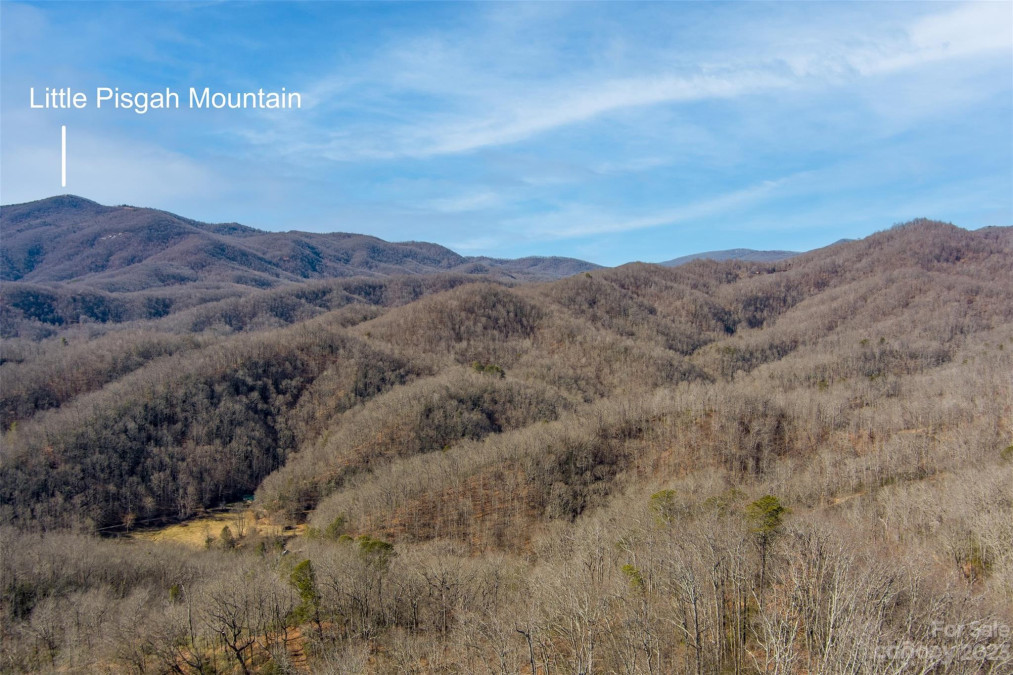 35 Lower Sand Branch Rd Black Mountain, NC 28711