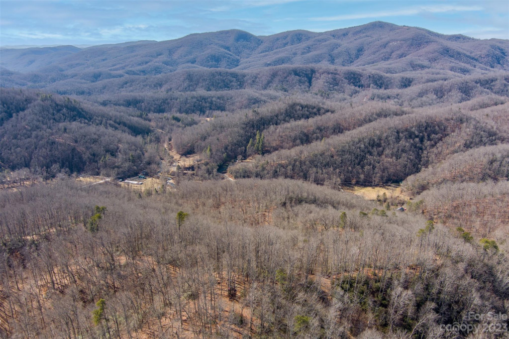 35 Lower Sand Branch Rd Black Mountain, NC 28711