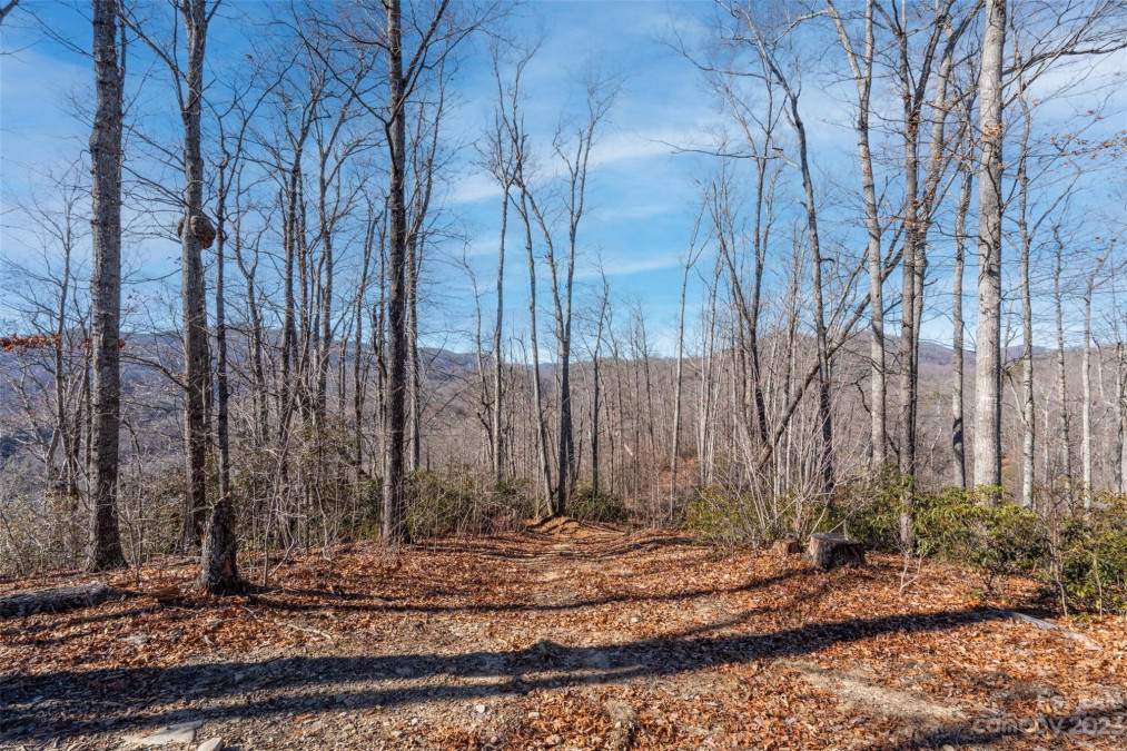 35 Lower Sand Branch Rd Black Mountain, NC 28711