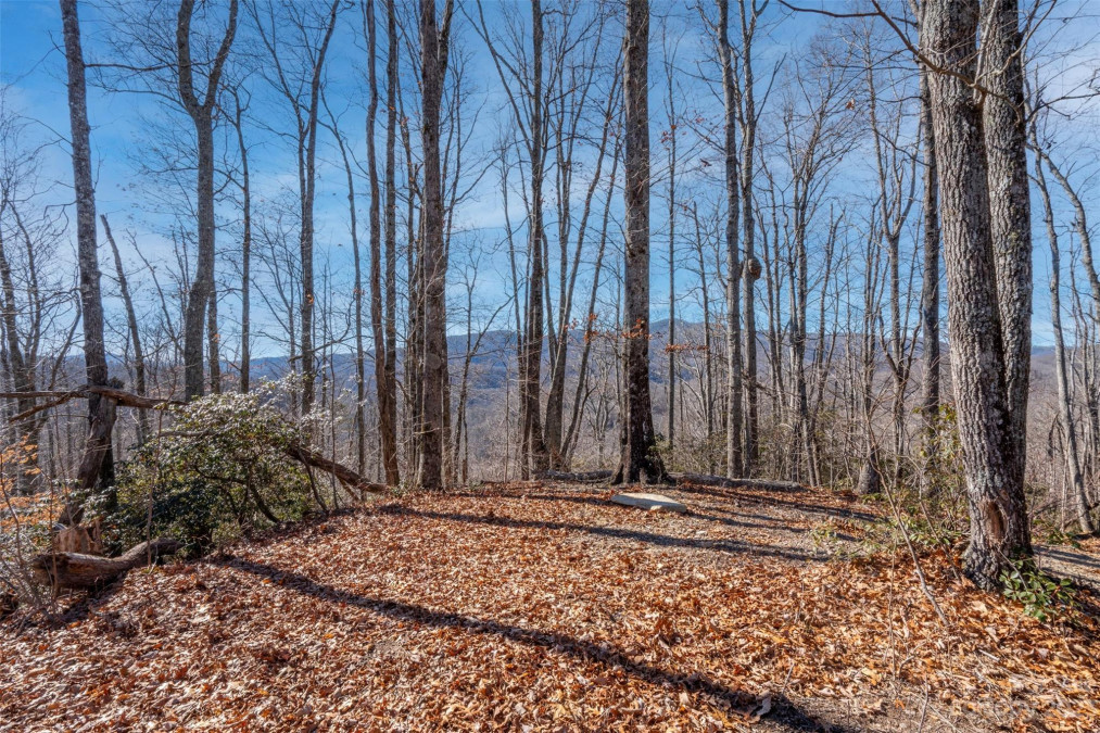 35 Lower Sand Branch Rd Black Mountain, NC 28711