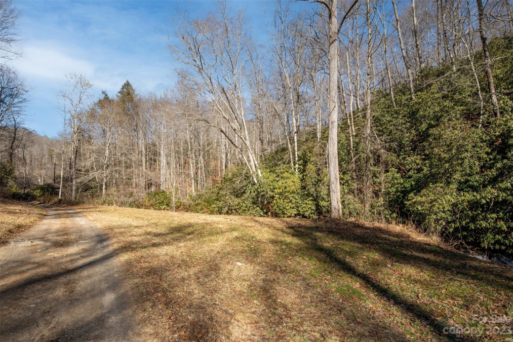 35 Lower Sand Branch Rd Black Mountain, NC 28711