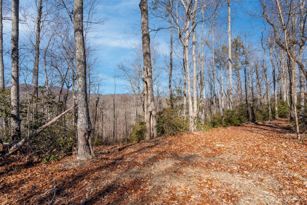 35 Lower Sand Branch Rd Black Mountain, NC 28711