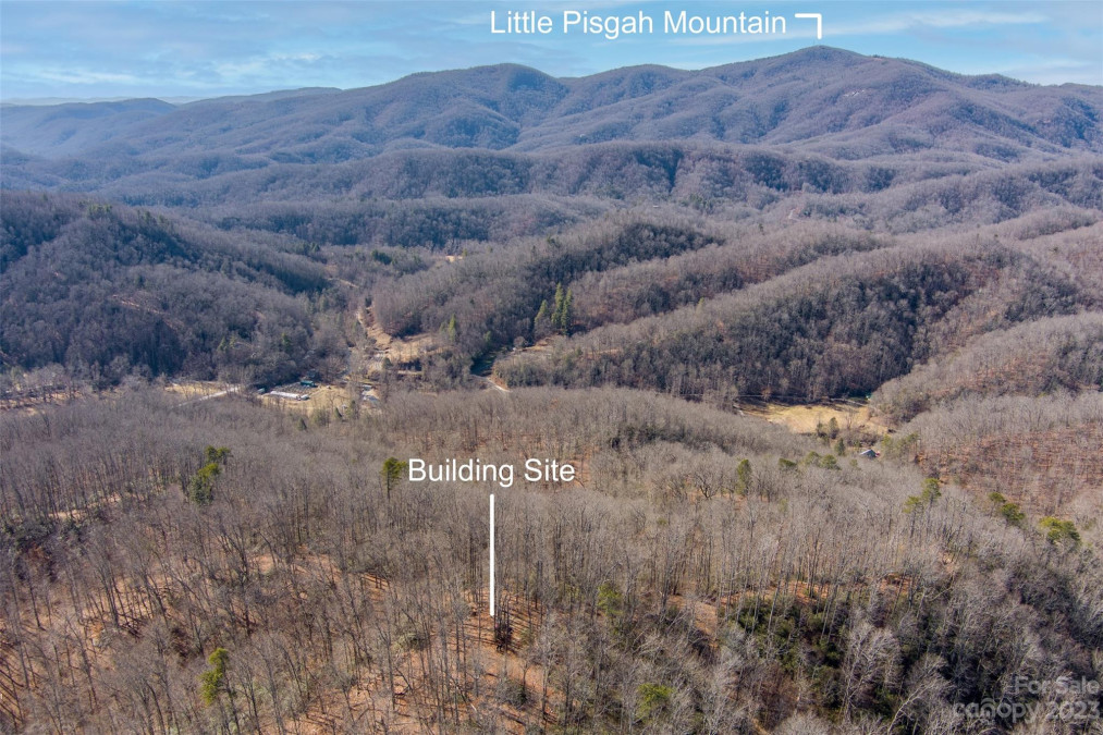 35 Lower Sand Branch Rd Black Mountain, NC 28711