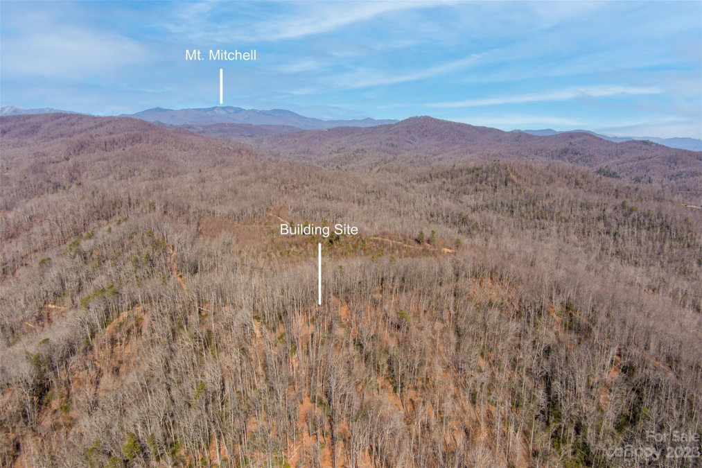 35 Lower Sand Branch Rd Black Mountain, NC 28711