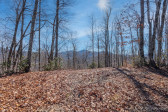 35 Lower Sand Branch Rd Black Mountain, NC 28711