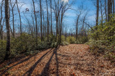 35 Lower Sand Branch Rd Black Mountain, NC 28711