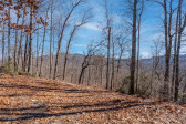 35 Lower Sand Branch Rd Black Mountain, NC 28711