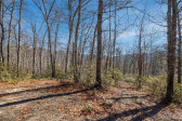 35 Lower Sand Branch Rd Black Mountain, NC 28711