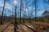 35 Lower Sand Branch Rd Black Mountain, NC 28711