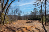 35 Lower Sand Branch Rd Black Mountain, NC 28711