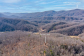 35 Lower Sand Branch Rd Black Mountain, NC 28711