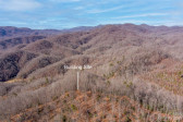 35 Lower Sand Branch Rd Black Mountain, NC 28711