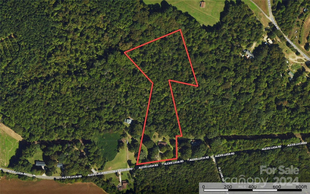 703 Alexis Lucia Rd, Alexis, NC 28006 MLS 4111867