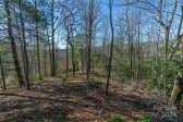 10 Rocky Glen Trl Black Mountain, NC 28711