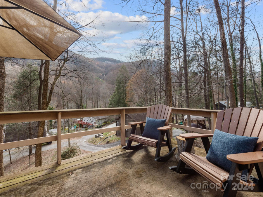 124 Buena Vista Rd Chimney Rock, NC 28720