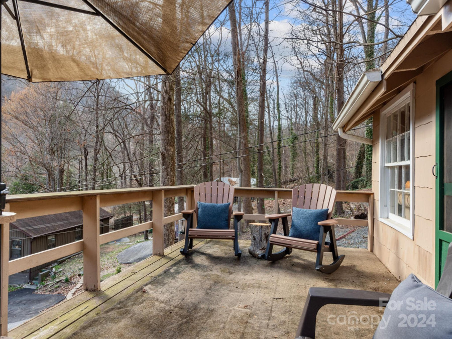 124 Buena Vista Rd Chimney Rock, NC 28720