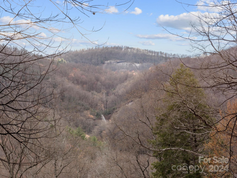 124 Buena Vista Rd Chimney Rock, NC 28720