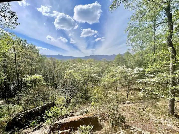 32 Walker Mountain Ln Black Mountain, NC 28711