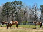 1801 Painted Horse Dr Indian Trail, NC 28079