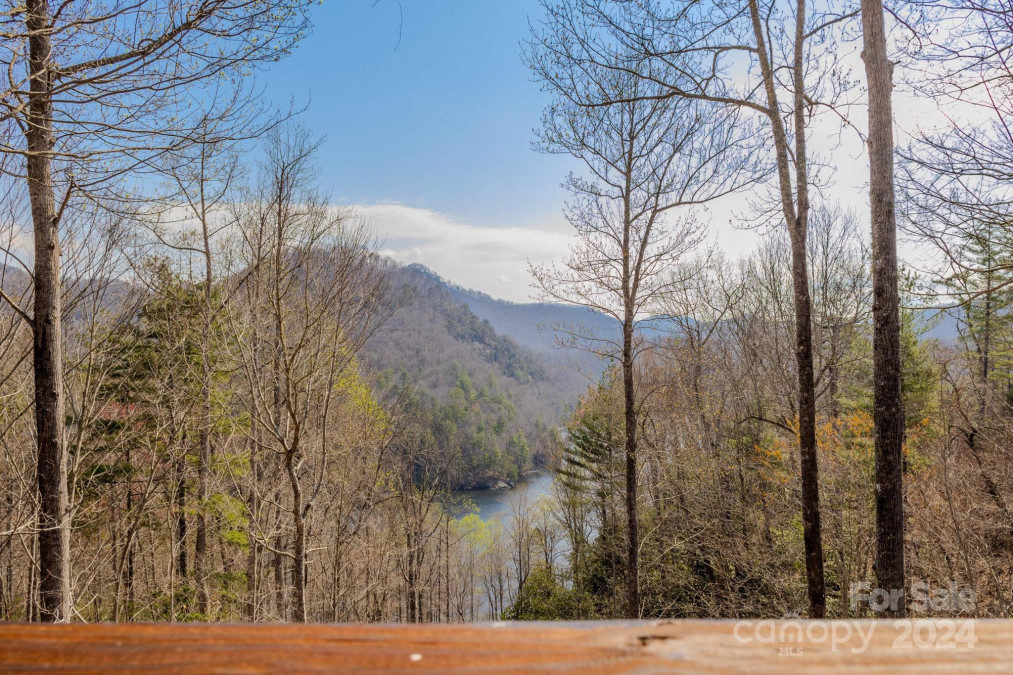 100 Saddle Notch Ln Tuckasegee, NC 28783