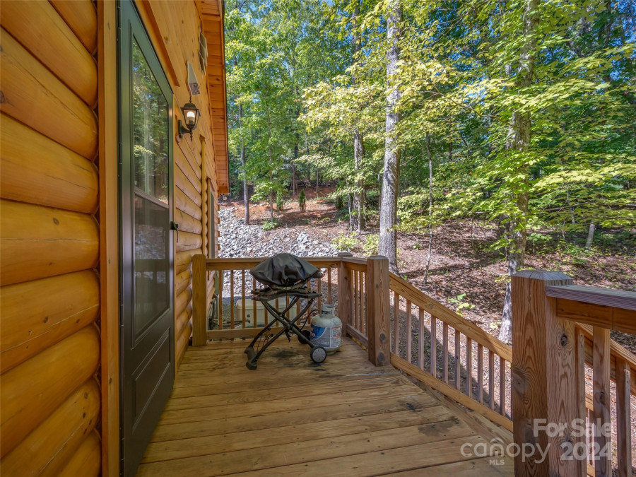 344 Wolf Trl Lake Lure, NC 28746