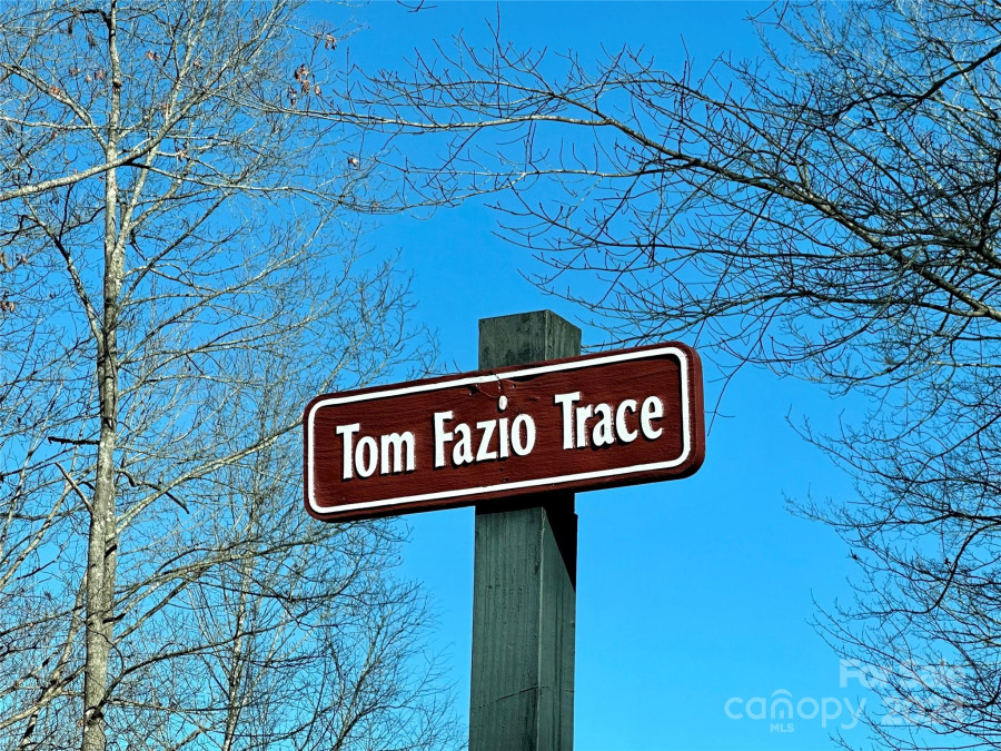 204 Tom Fazio Tc Hendersonville, NC 28739