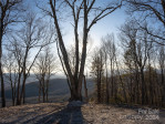 63 Summit Trail Dr Hendersonville, NC 28792