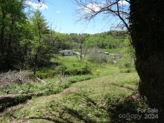 24 Spring Hollow Ln Spruce Pine, NC 28777