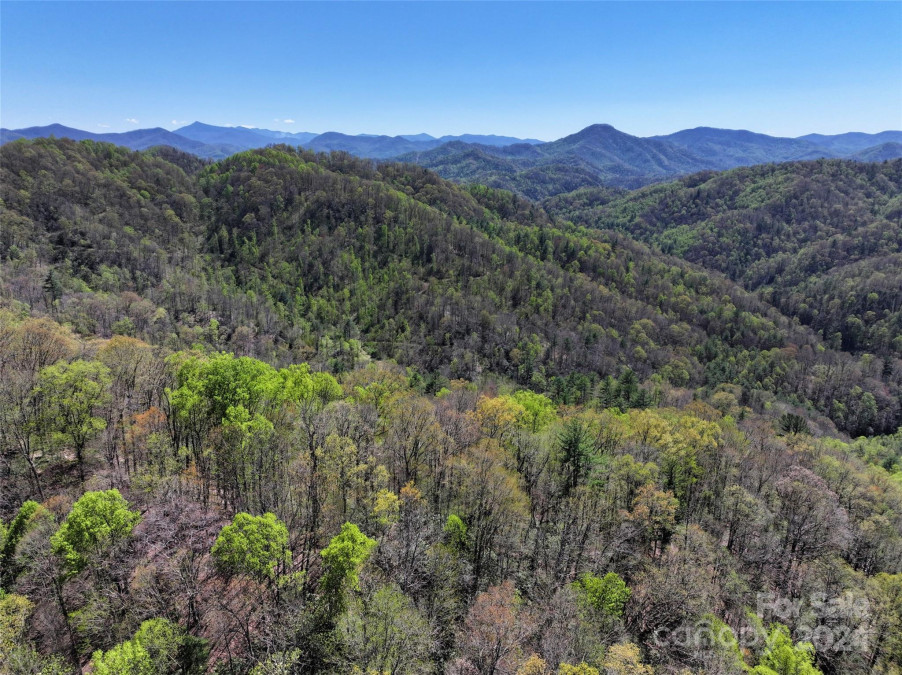 2180 Pigeon Roost Rd Green Mountain, NC 28740