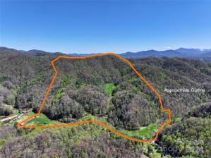 2180 Pigeon Roost Rd Green Mountain, NC 28740