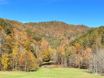 2180 Pigeon Roost Rd Green Mountain, NC 28740