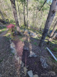 9879 Jacks Creek Rd Green Mountain, NC 28740